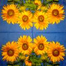 119 Sonnenblumen - 3-lagig (119)